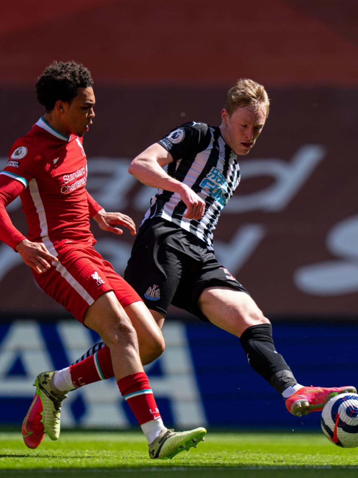 爱游戏体育- 英超布莱顿粤语 